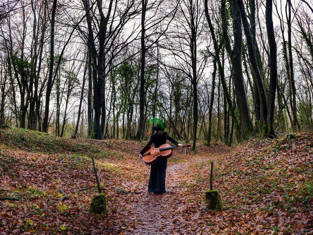 Sur le chemin des Dames