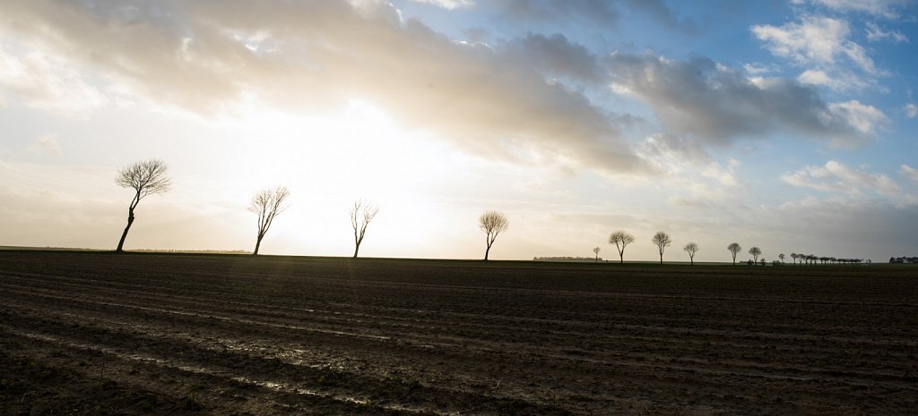 Sur le chemin des Dames