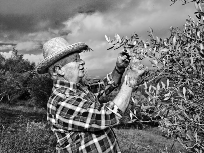 Campains-for-the-DelArte-restaurants