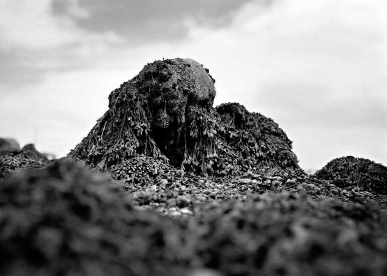 Carnac-eugene-guillevic