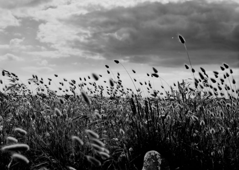 Carnac-eugene-guillevic