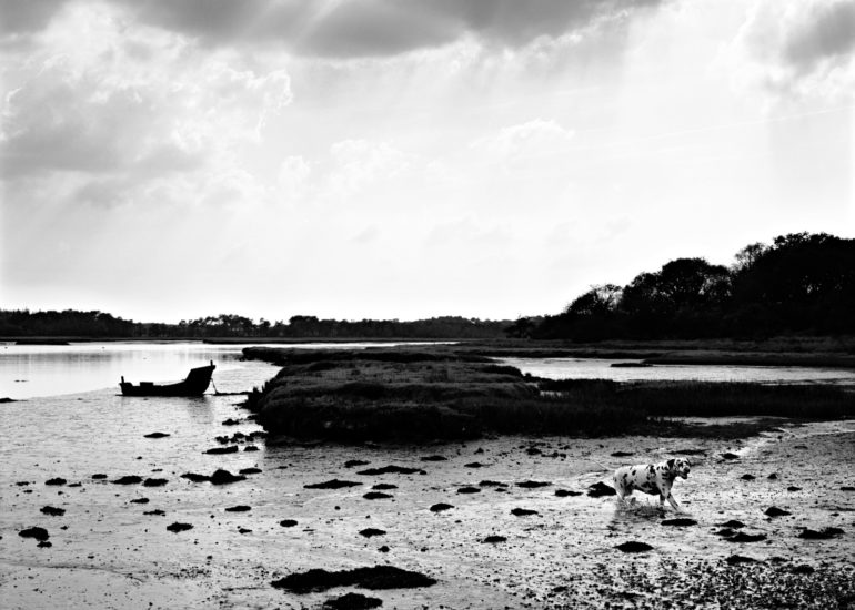 Carnac-eugene-guillevic