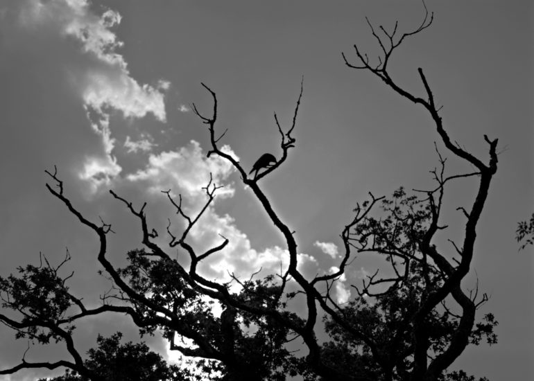 Carnac-eugene-guillevic