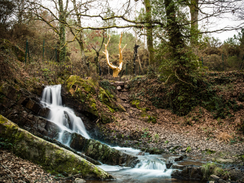 orange-le-hello-tour