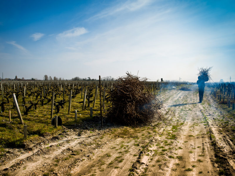 orange-le-hello-tour