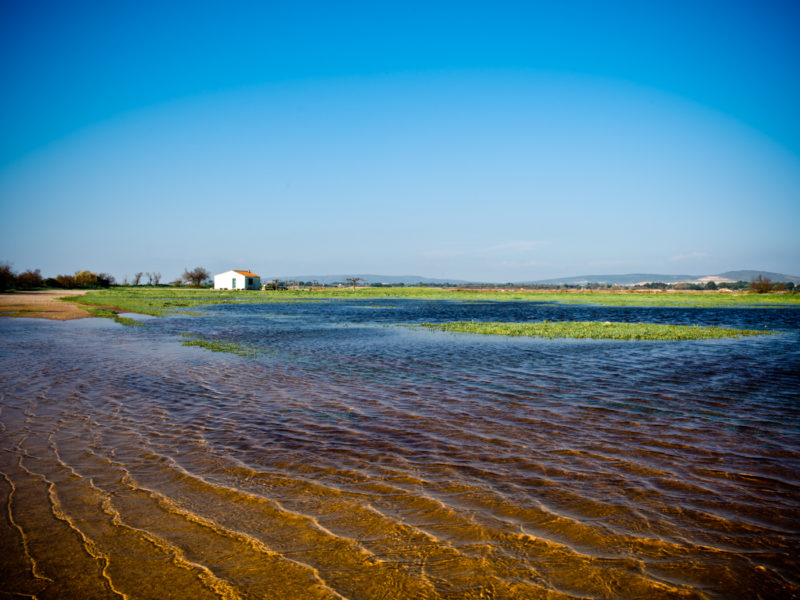 orange-le-hello-tour