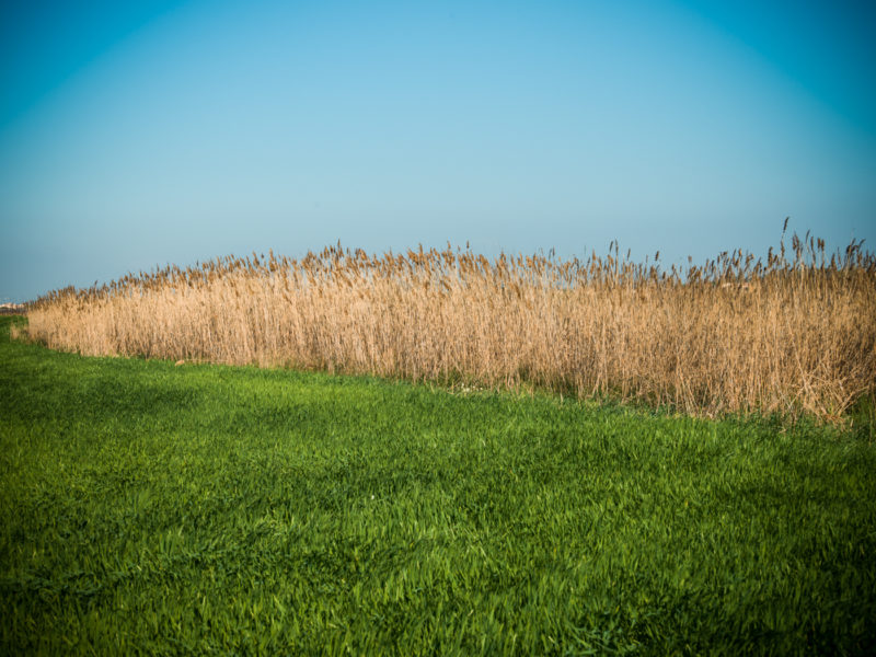 orange-le-hello-tour