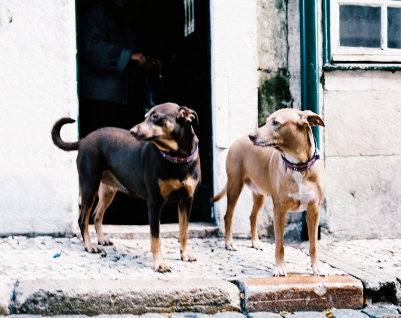 lisboa-fernando-pessoa